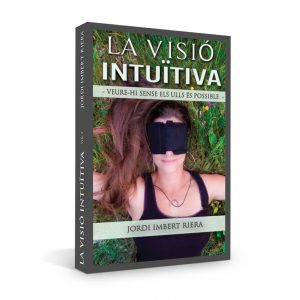 la vision intuitiva