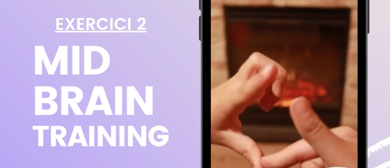 Mid Brain Training Exercises