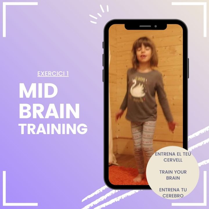 Mid Brain Training